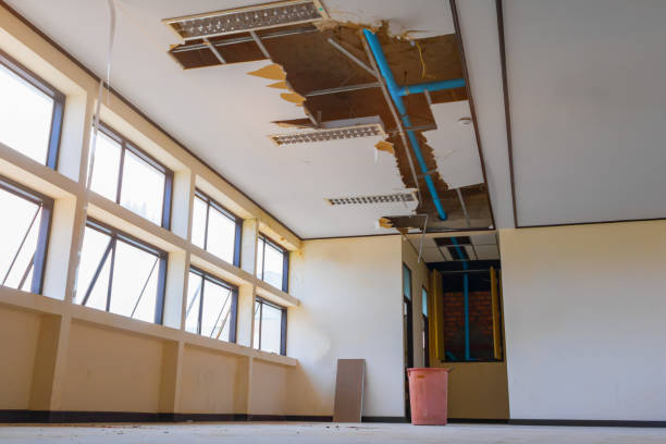 Best Water damage cleanup near me  in Del Rey Oaks, CA
