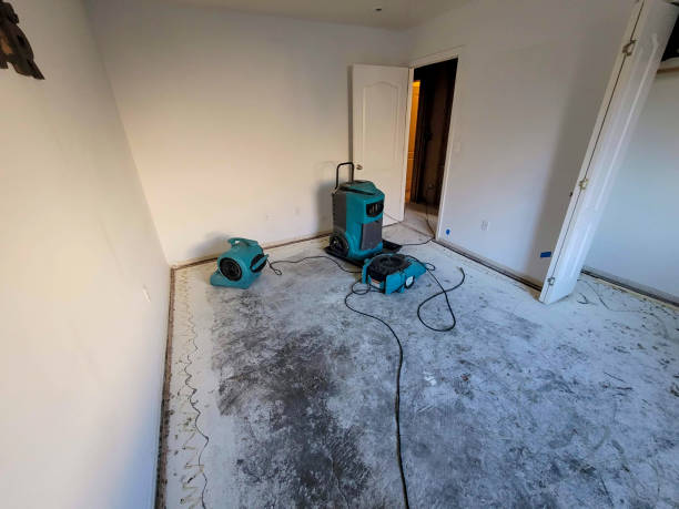 Best Water damage restoration near me  in Del Rey Oaks, CA