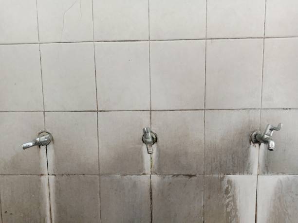 Best Professional water damage repair  in Del Rey Oaks, CA